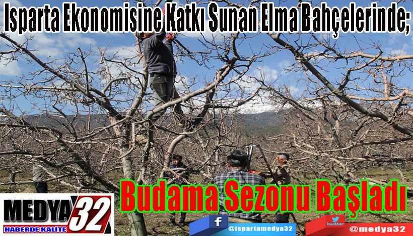 Isparta Ekonomisine Katkı Sunan Elma Bahçelerinde;  Budama Sezonu Başladı 