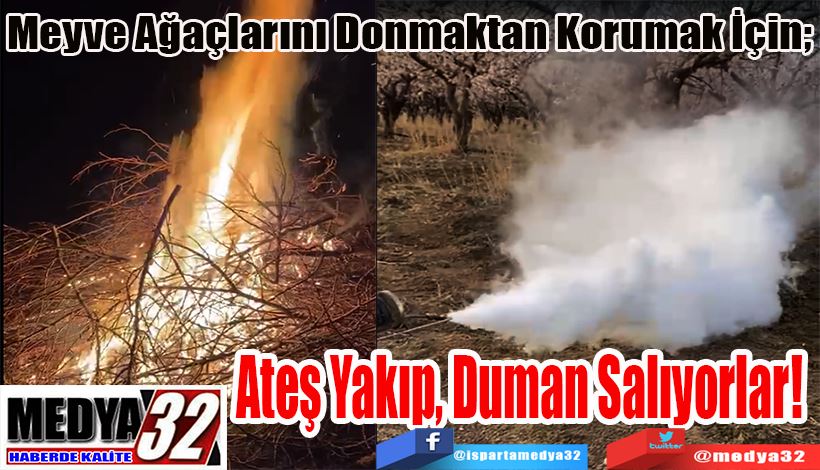 Meyve Ağaçlarını Donmaktan Korumak İçin;  Ateş Yakıp, Duman Salıyorlar! 