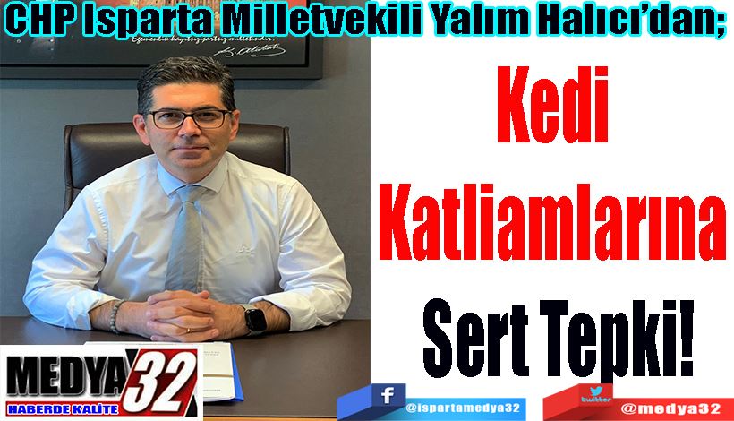 CHP Isparta Milletvekili Yalım Halıcı’dan;  Kedi  Katliamlarına  Sert Tepki 