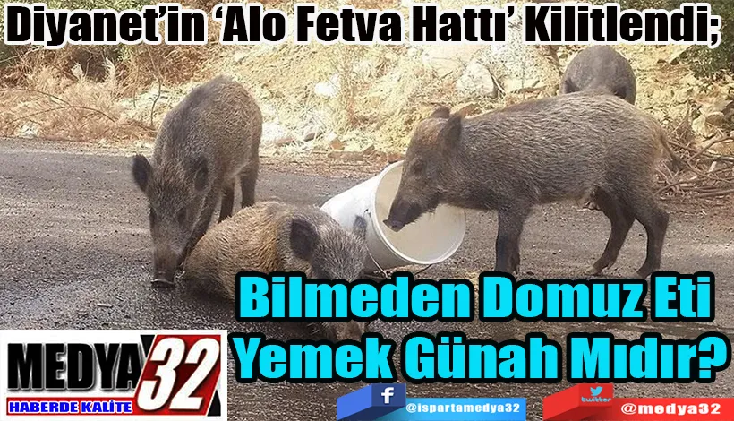 Diyanet’in ‘Alo Fetva Hattı’ Kilitlendi;  Bilmeden Domuz Eti  Yemek Günah Mıdır?  