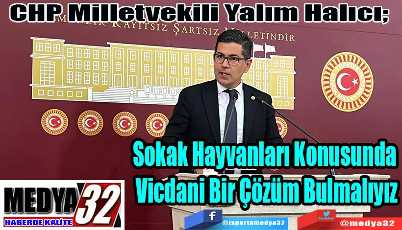 CHP Milletvekili Yalım Halıcı;  Sokak Hayvanları Konusunda  Vicdani Bir Çözüm Bulmalıyız