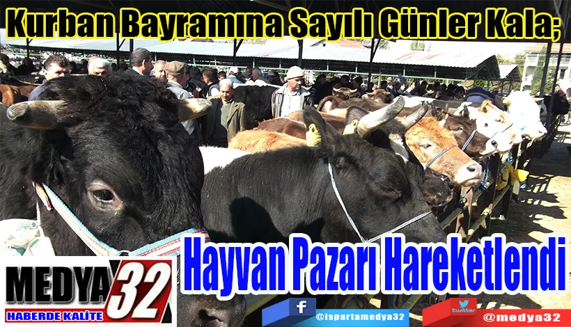 Kurban Bayramına Sayılı Günler Kala;  Hayvan Pazarı Hareketlendi