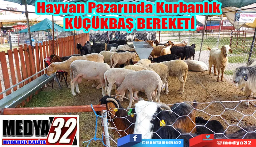 Hayvan Pazarında Kurbanlık  KÜÇÜKBAŞ BEREKETİ