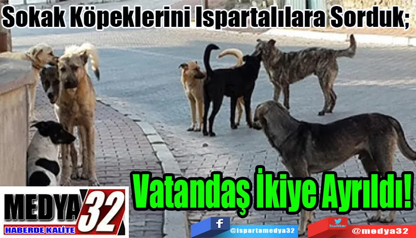 Sokak Köpeklerini Ispartalılara Sorduk; Vatandaş İkiye Ayrıldı!