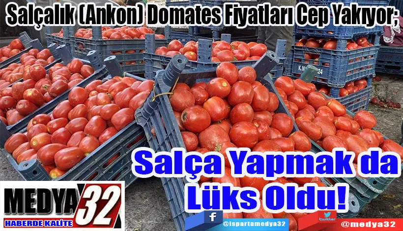 Salçalık (Ankon) Domates Fiyatları Cep Yakıyor;  Salça Yapmak da Lüks Oldu! 