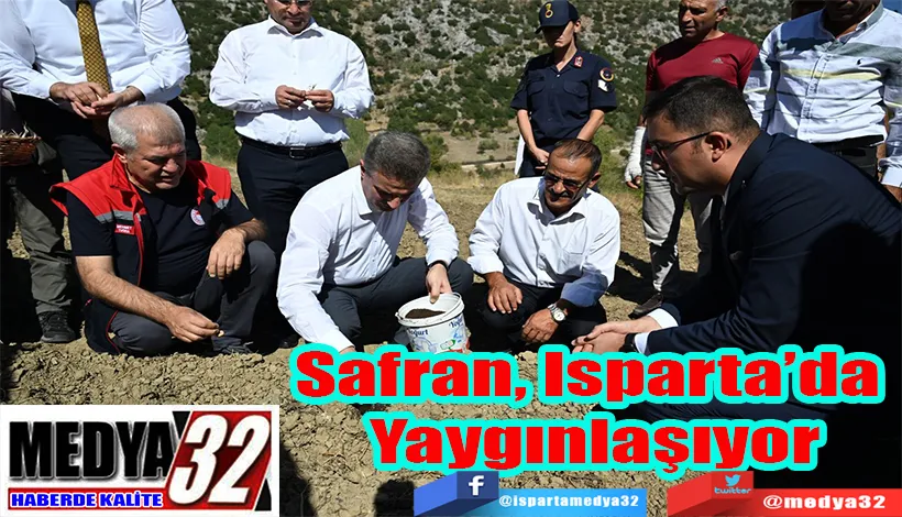 Safran, Isparta’da  Yaygınlaşıyor