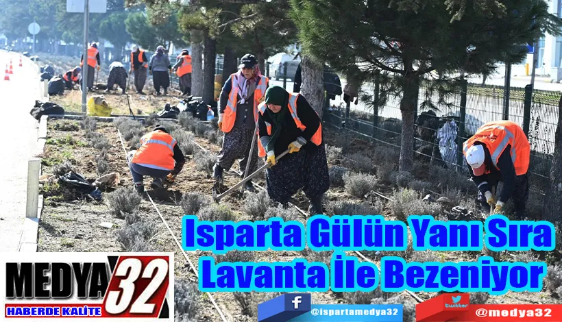 Isparta Gülün Yanı Sıra  Lavanta İle Bezeniyor