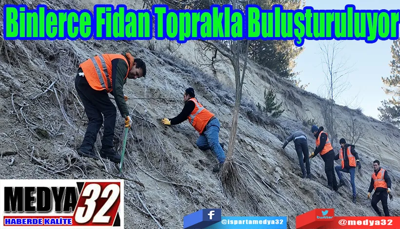 Binlerce Fidan  Toprakla Buluşturuluyor 