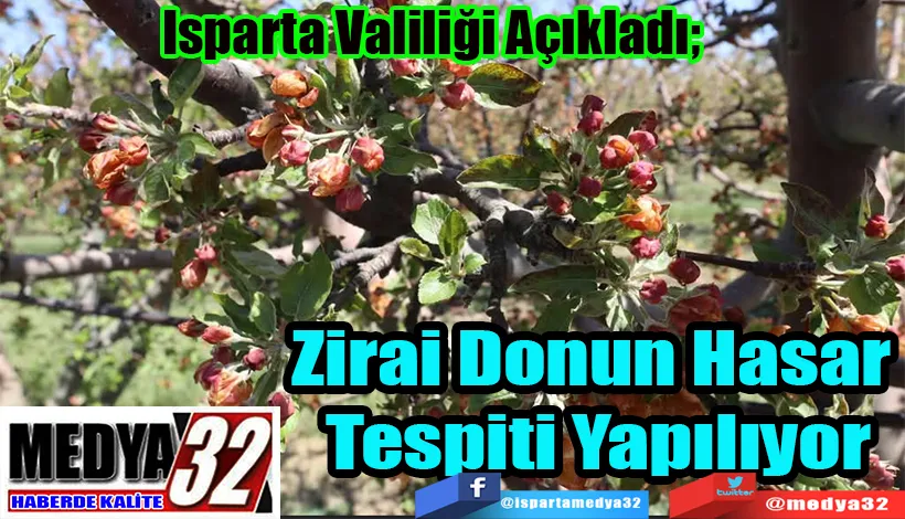 Isparta Valiliği Açıkladı;  Zirai Donun Hasar  Tespiti Yapılıyor 
