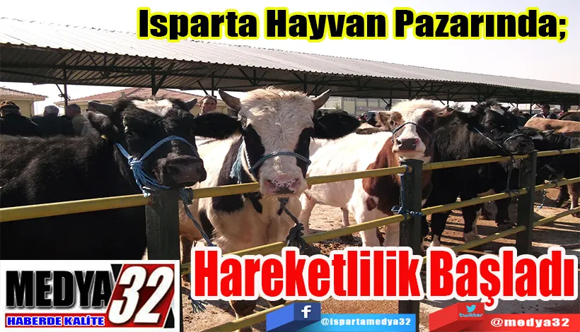Isparta Hayvan Pazarında;  Hareketlilik Başladı