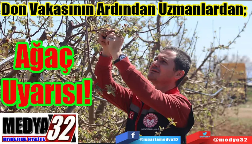 Don Vakasının Ardından Uzmanlardan;  Ağaç Uyarısı!