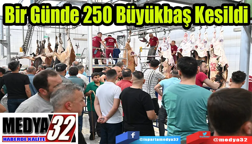 Bir Günde 250  Büyükbaş Kesildi