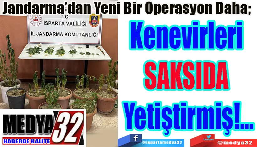  Jandarma’dan Yeni Bir Operasyon Daha;  Kenevirleri  SAKSIDA  Yetiştirmiş!...