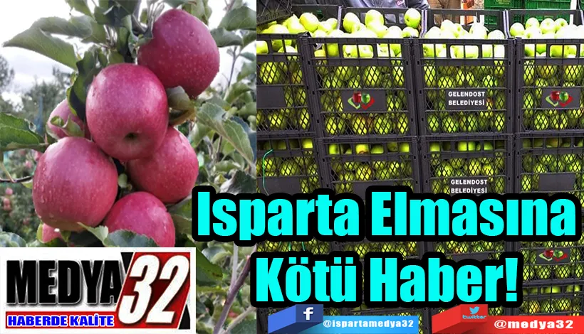 Isparta Elmasına Kötü Haber! 