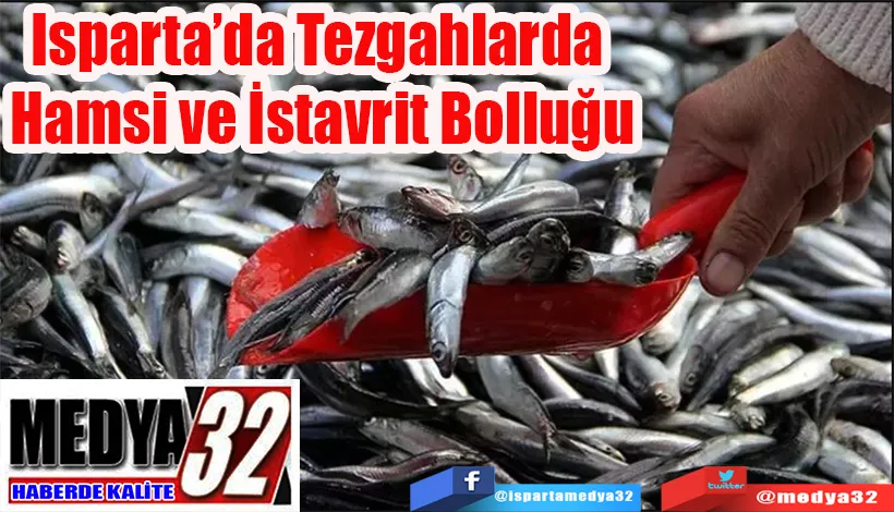 Isparta’da Tezgahlarda  Hamsi ve İstavrit Bolluğu