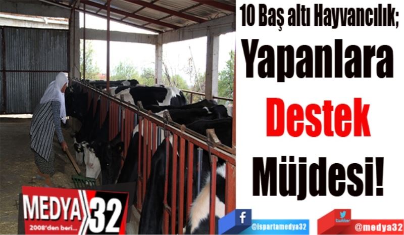 10 Baş altı Hayvancılık; 
Yapanlara 
Destek 
Müjdesi! 
