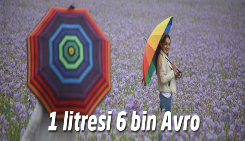 1 litresi 6 bin Avro