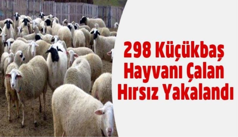 298 Küçükbaş Hayvanı Çalan Hırsız Yakalandı