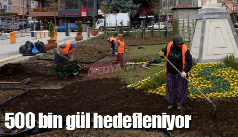 500 bin gül hedefleniyor