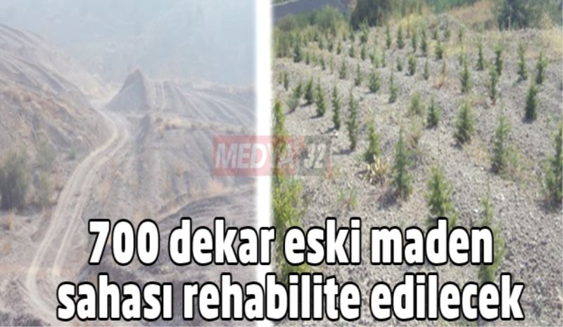 700 dekar eski maden sahası rehabilite edilecek 