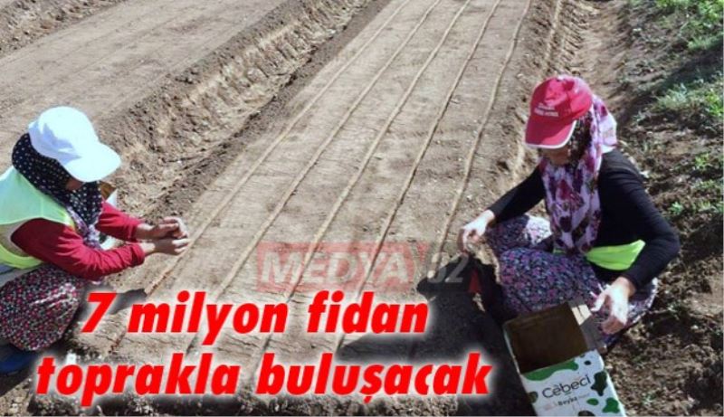 7 milyon fidan toprakla buluşacak