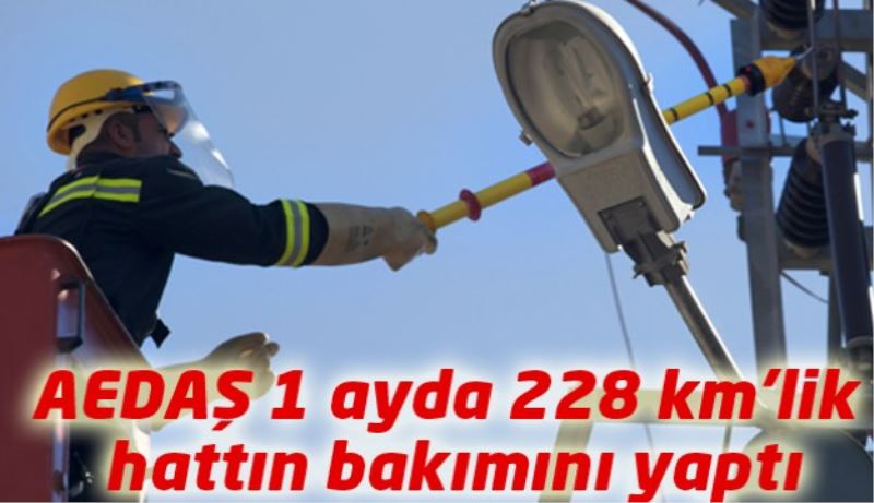 AEDAŞ 1 ayda 228 km’lik hattın bakımını yaptı