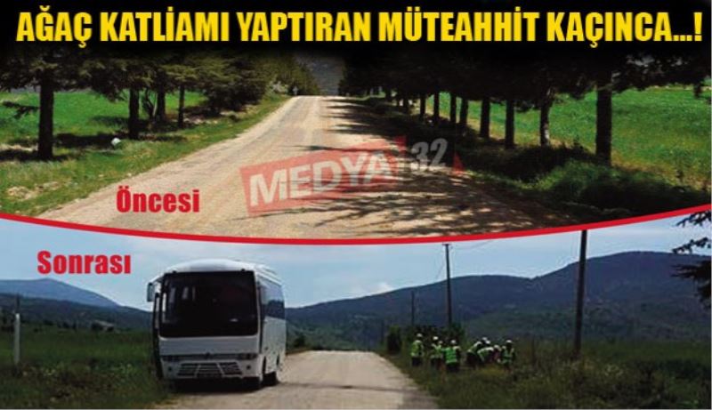 Ağaç katliamı yaptıran müteahhit kaçınca…!