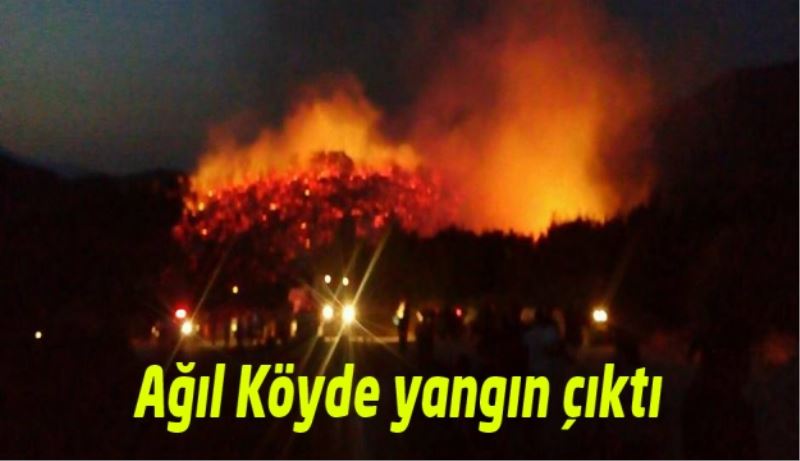 Ağıl Köyde yangın çıktı