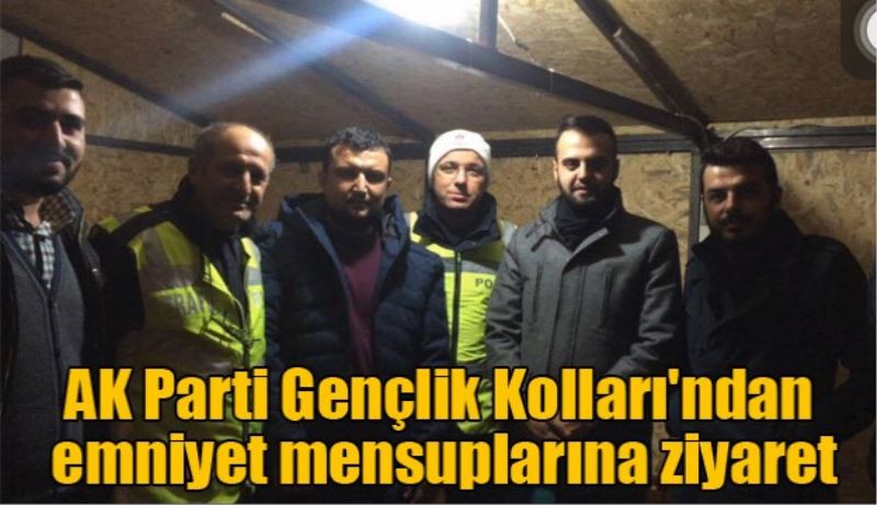 AK Parti Gençlik Kolları