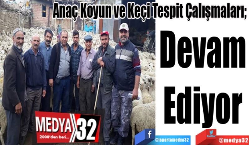 Anaç Koyun ve Keçi Tespit Çalışmaları; 
Devam 
Ediyor 
