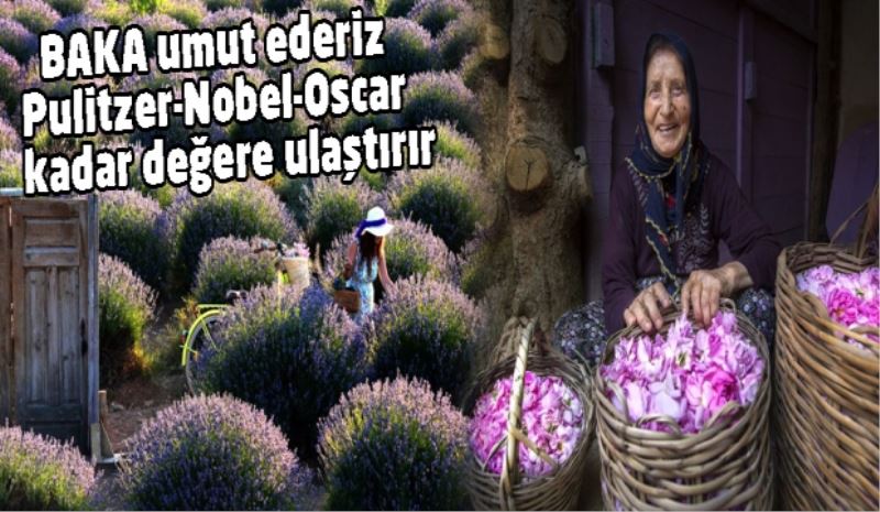 BAKA umut ederiz Pulitzer, Nobel, Oscar kadar değere ulaştırır