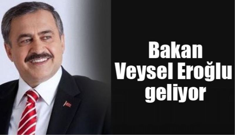 Bakan Eroğlu geliyor