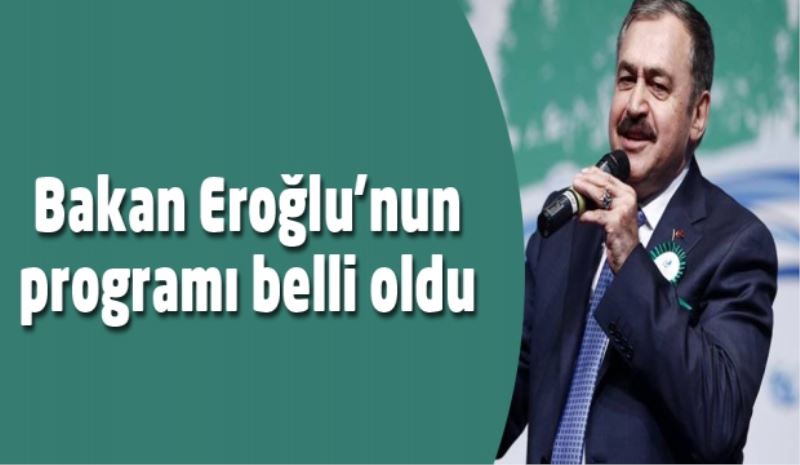 Bakan Eroğlu