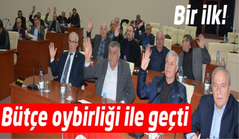 Bir İlk! Bütçe oybirliği ile geçti 