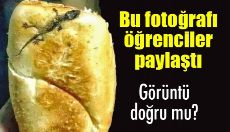 Bu iğrenç fotoğraf doğru mu? 