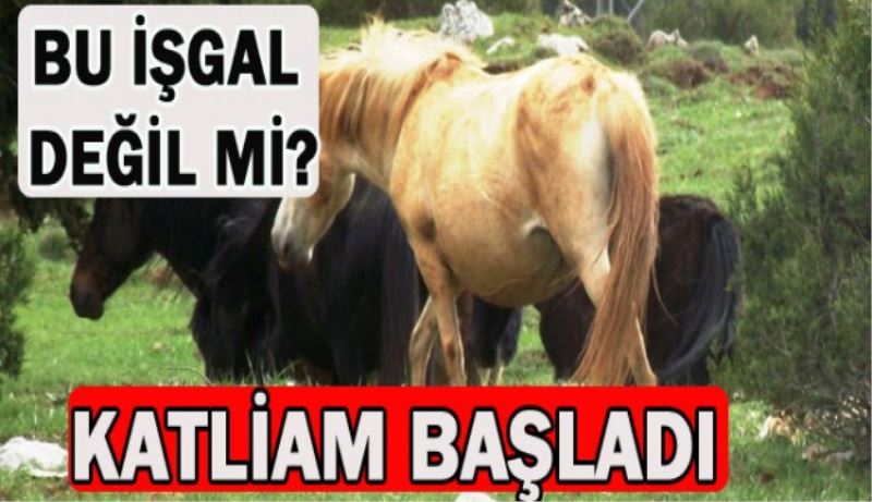 Bu işgal değil mi?