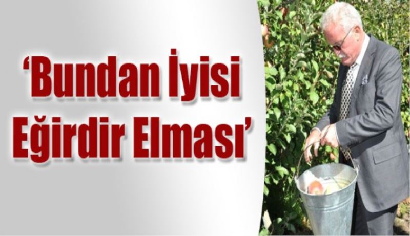 Bundan iyisi Eğirdir elması