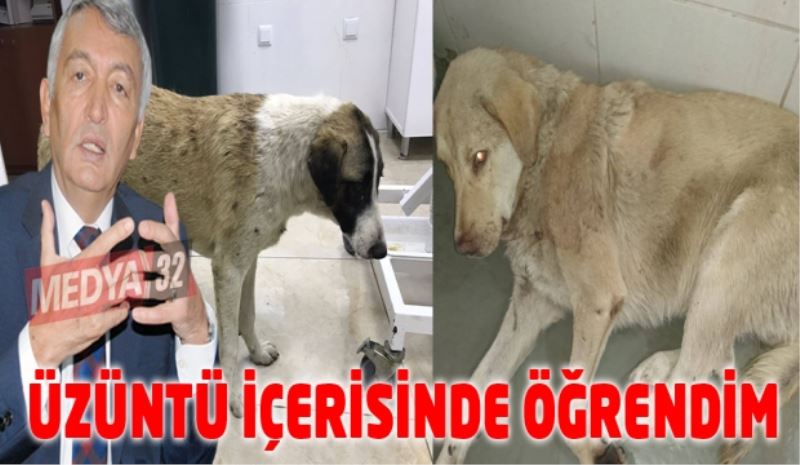 Büyük bir üzüntü içerisinde öğrendim