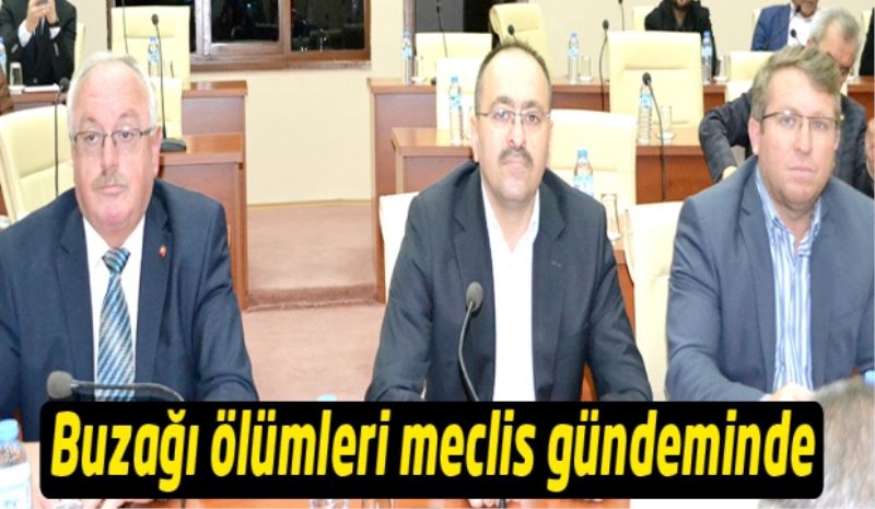 Buzağı ölümleri meclis gündeminde 