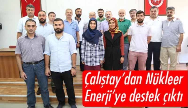 Çalıştay’dan Nükleer Enerji’ye destek çıktı 