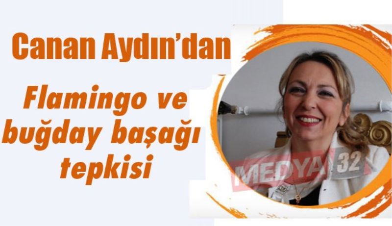 Canan Aydın’dan flamingo ve buğday başağı tepkisi 