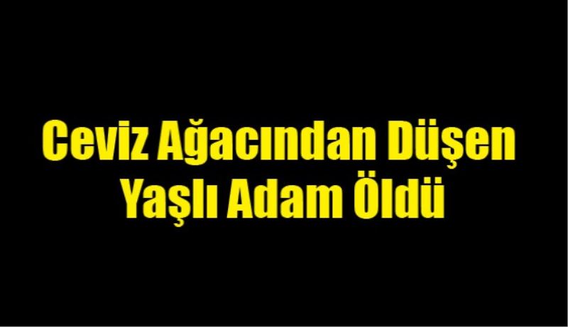 Ceviz Ağacından Düşen Yaşlı Adam Öldü