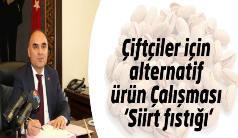 Çiftçiler için alternatif ürün Çalışması, ‘Siirt fıstığı’