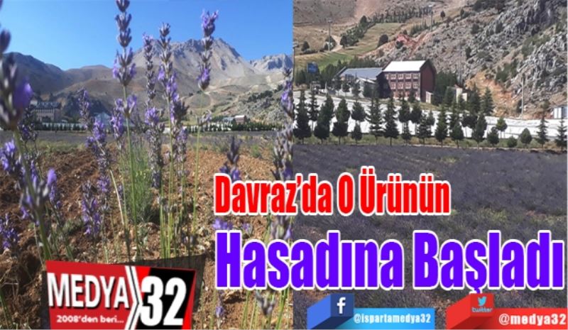 Davraz’da 
O Ürünün 
Hasadına
Başladı
