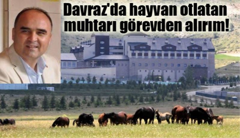 Davraz