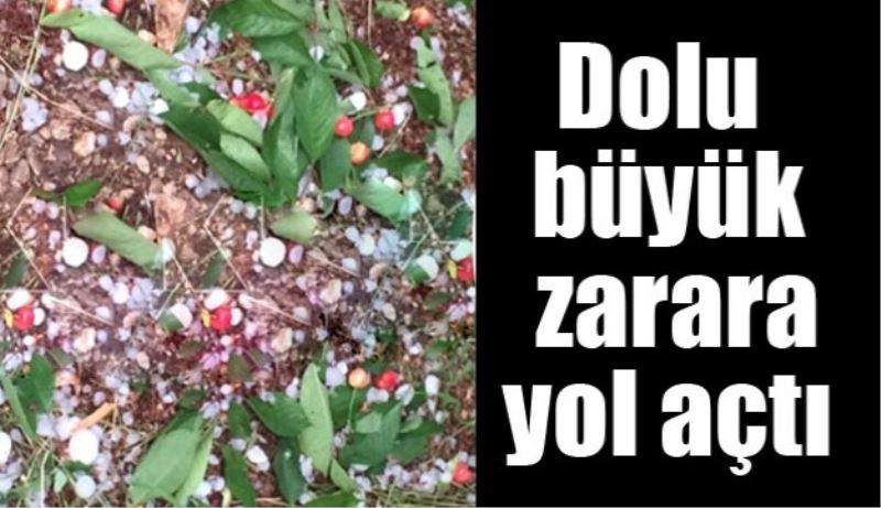 Dolu büyük zarara yol açtı 