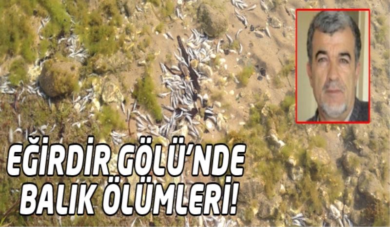 EĞİRDİR GÖLÜ’NDE BALIK ÖLÜMLERİ!