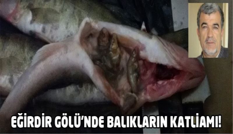 EĞİRDİR GÖLÜ’NDE BALIKLARIN KATLİAMI!