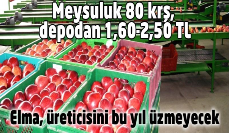 Elma, üreticisini bu yıl üzmeyecek