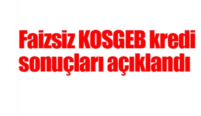 Faizsiz KOSGEB kredi sonuçları açıklandı